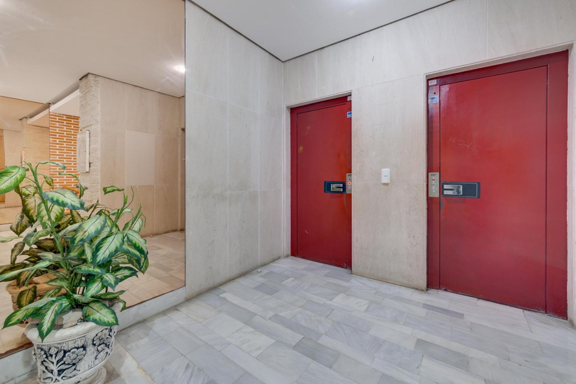 托雷维耶哈Apartamento Concordia公寓 外观 照片